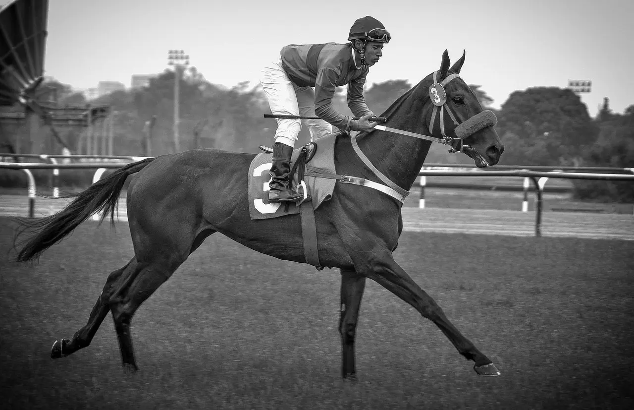 Jockey på en galophest